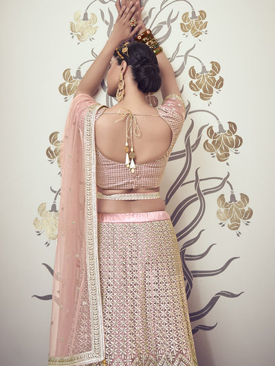 Rabina Pastel Pink Lehenga With Embroidered Belt